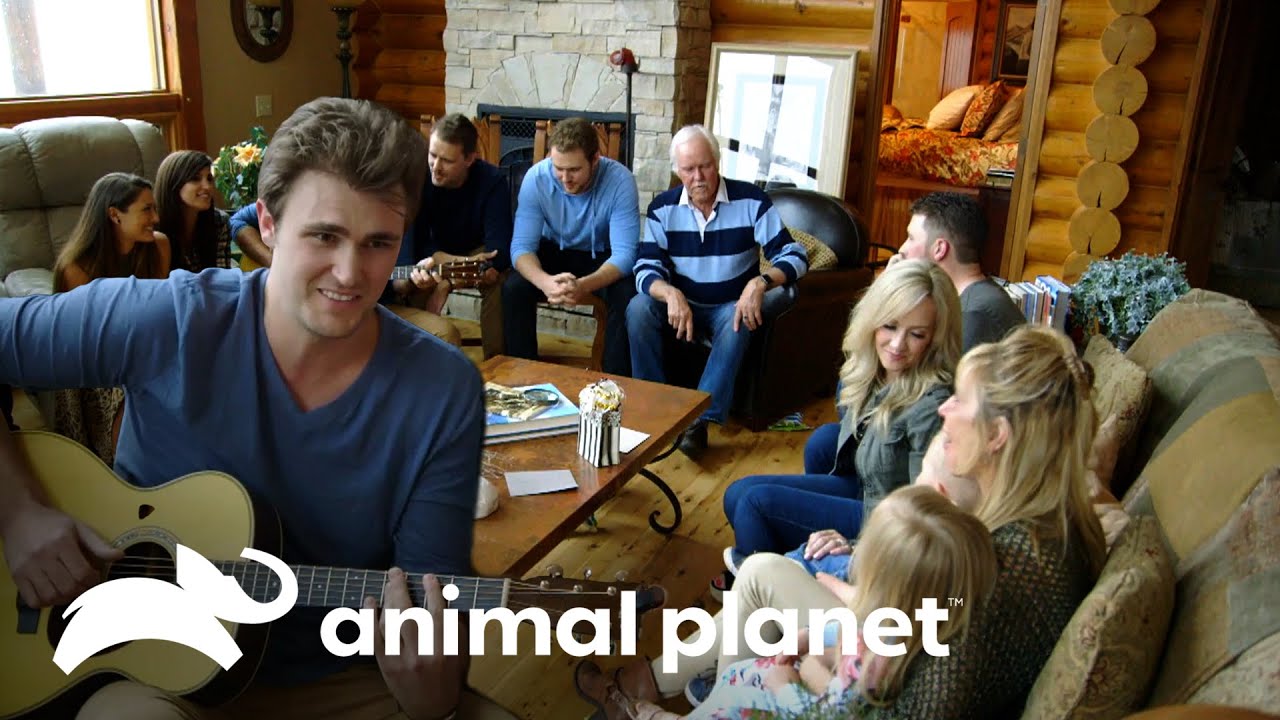 La veterinaria Fox Hollow | Familia de Veterinarios | Animal Planet