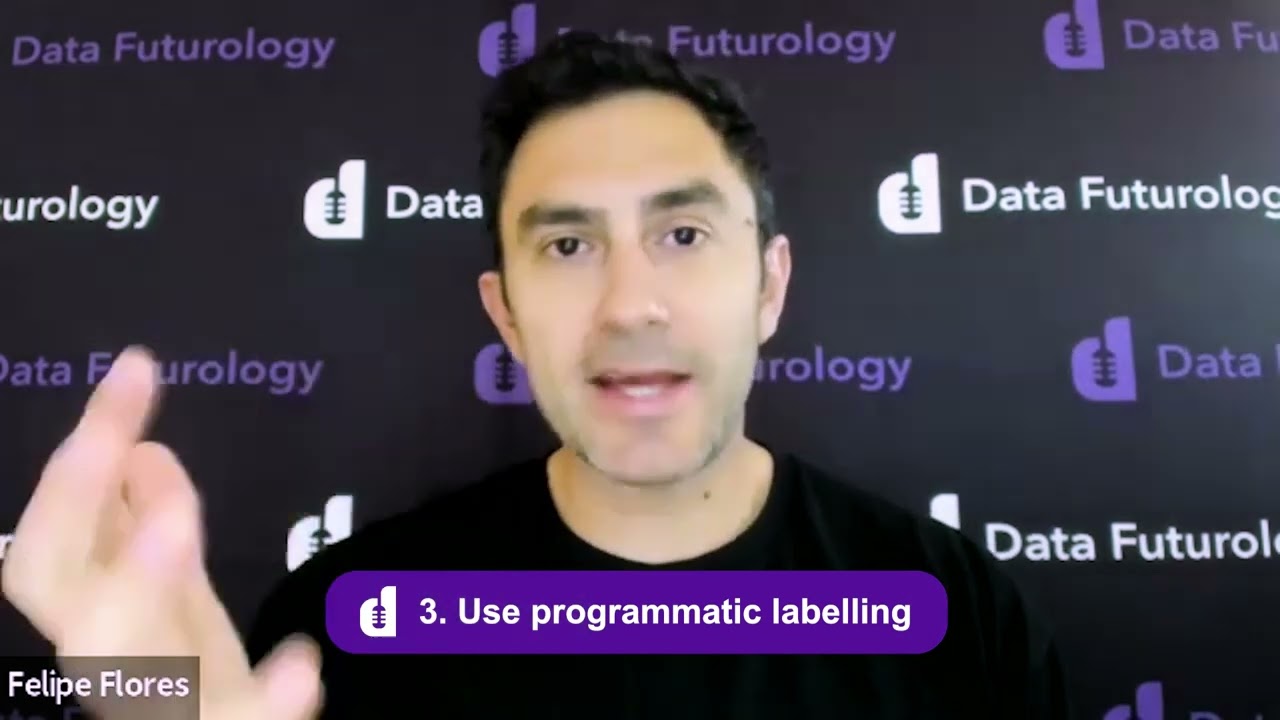 5 principles of data-centric AI - Snapshots with Felipe Flores