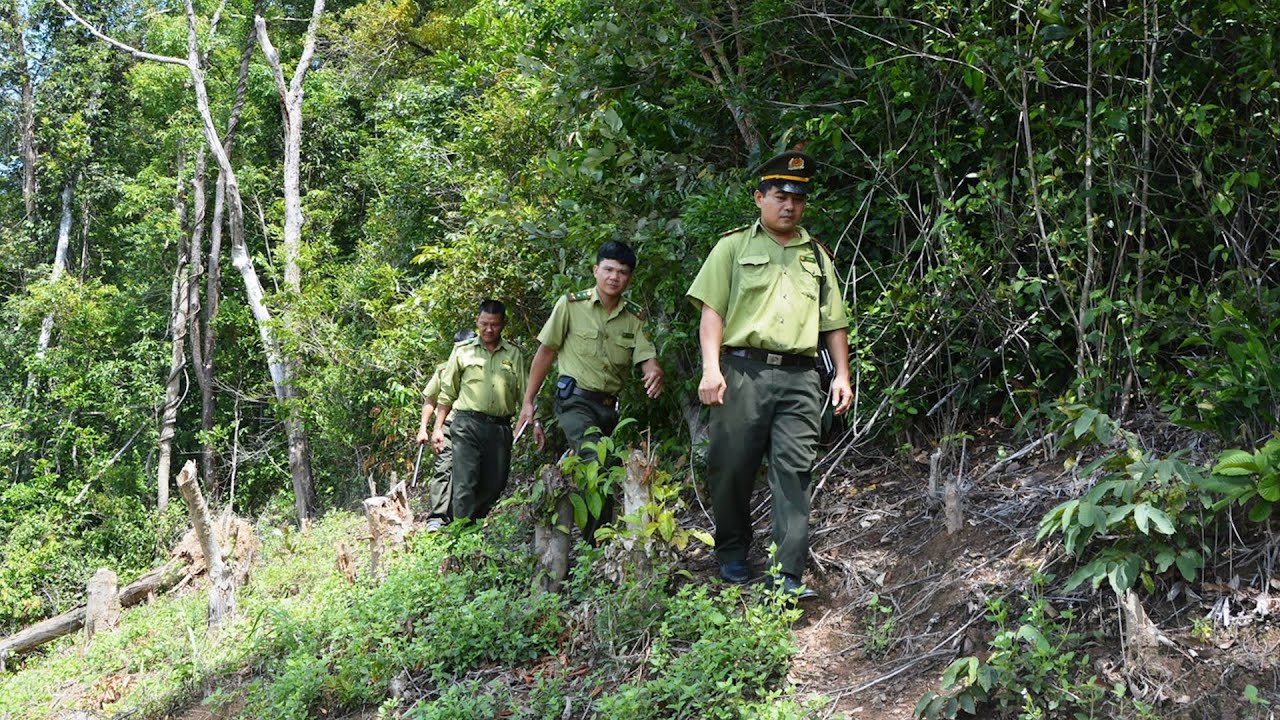 BNP: CHỈ ĐẠO, ĐIỀU HÀNH NỔI BẬT CỦA UBND TỈNH, CHỦ TỊCH UBND TỈNH NGÀY 29/01/2026
