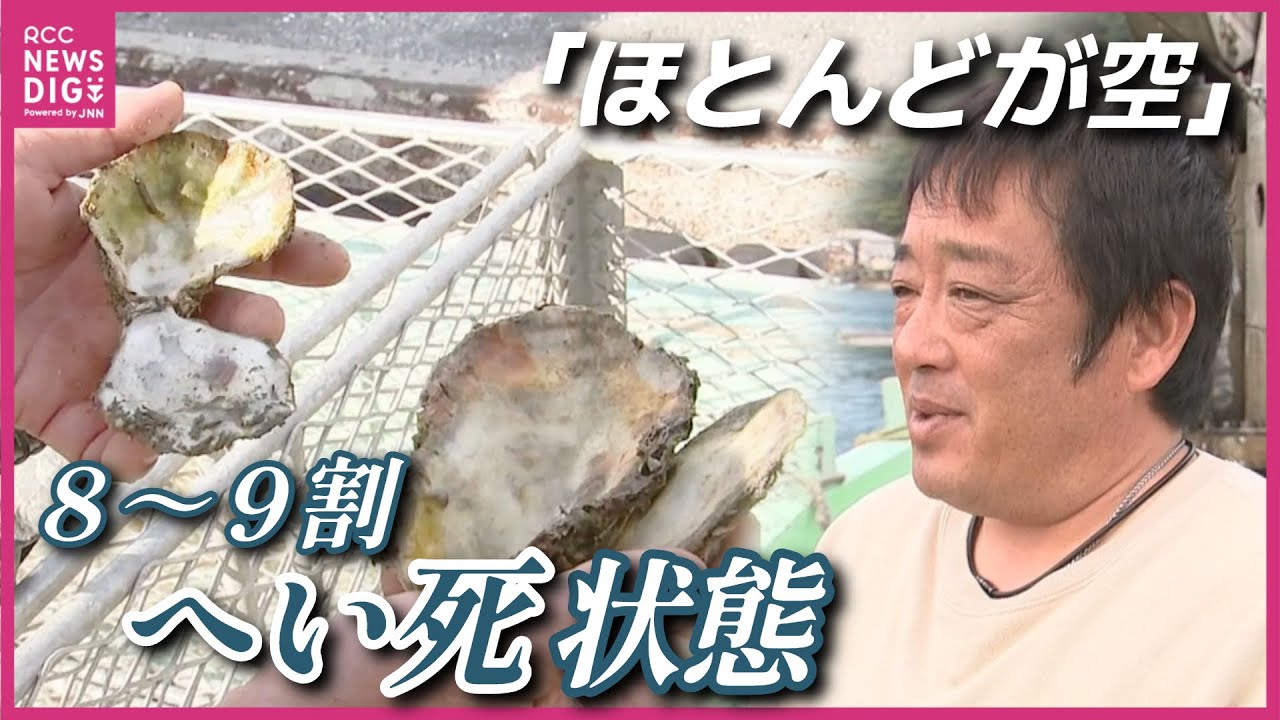 【冬の味覚・カキ大量死】&ldquo;原因不明&rdquo;で養殖業者が窮地に　例年の水揚げ回復まで３年以上か　「８月までは順調に生育していたはず」　広島
