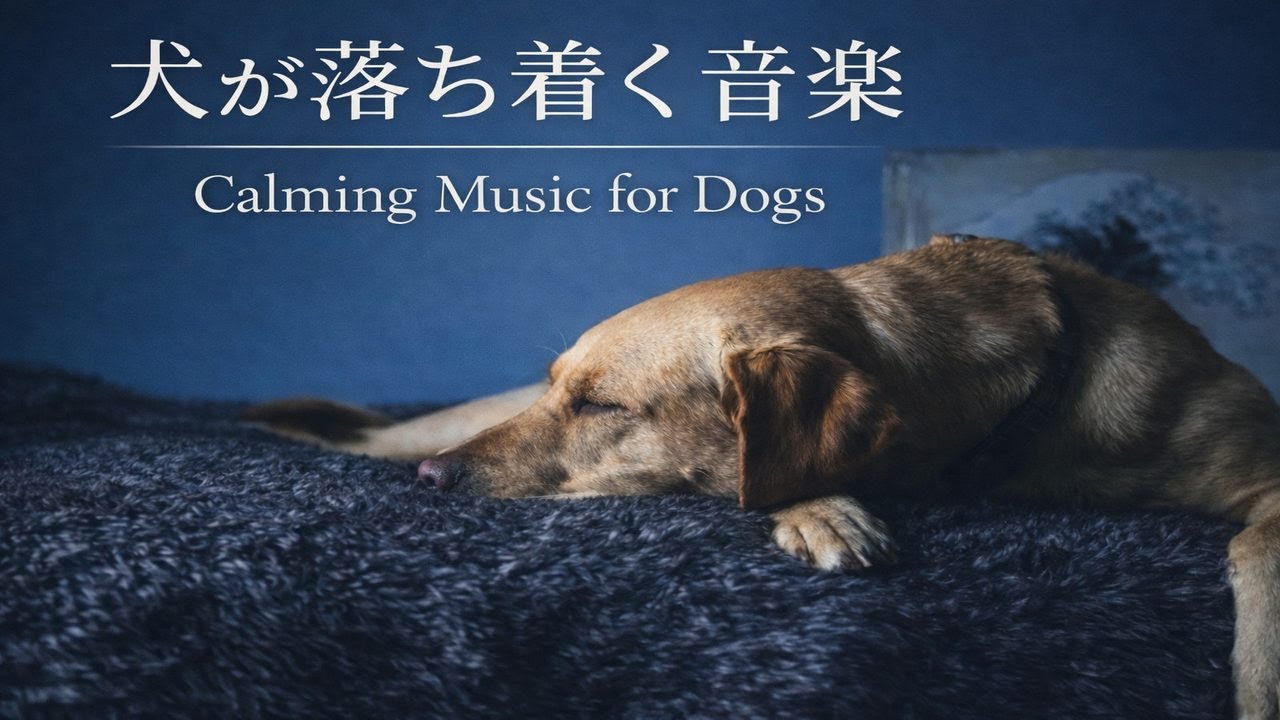 犬が落ち着くリラックス音楽｜Calming Music for Dogs