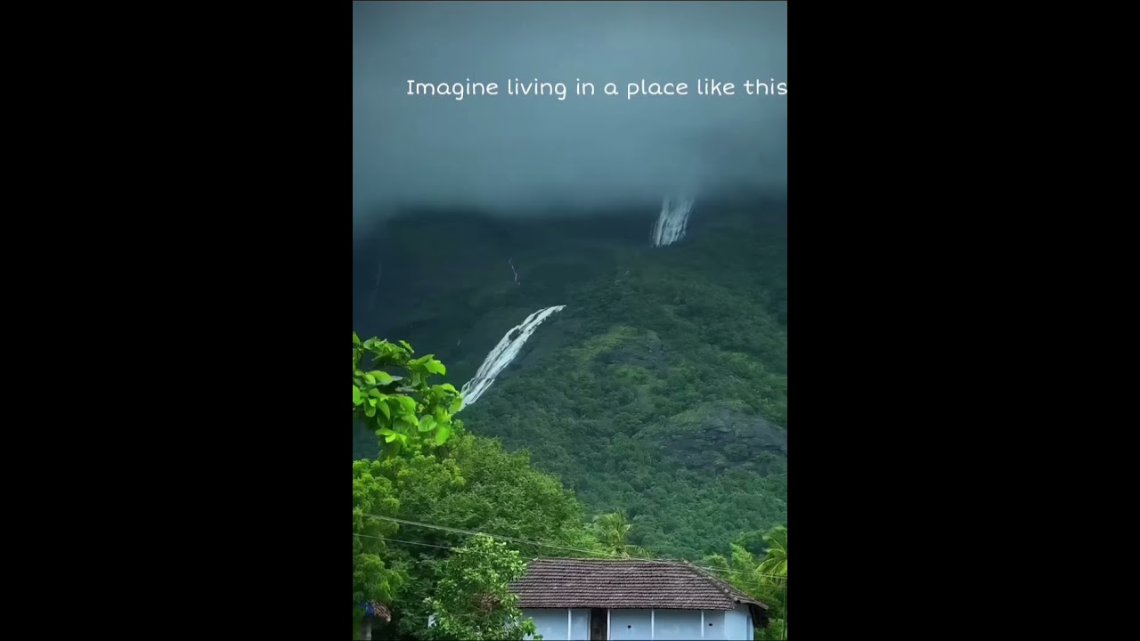 Kerala in Monsoon day #monsoon #naturelovers #travel #nature
