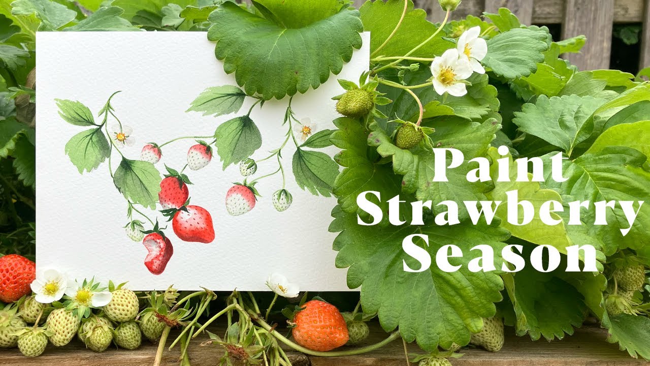 Paint Watercolour Strawberries!