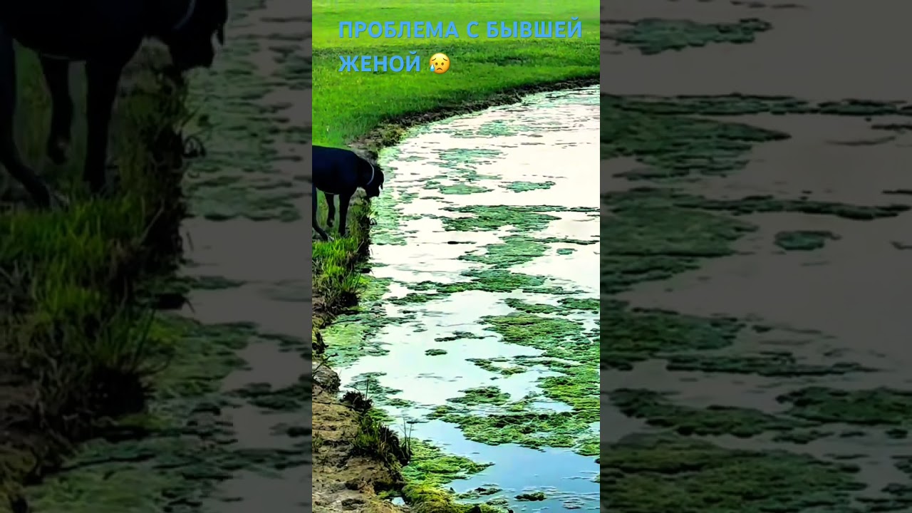 МЕСЯЦ ДО СУДА😱