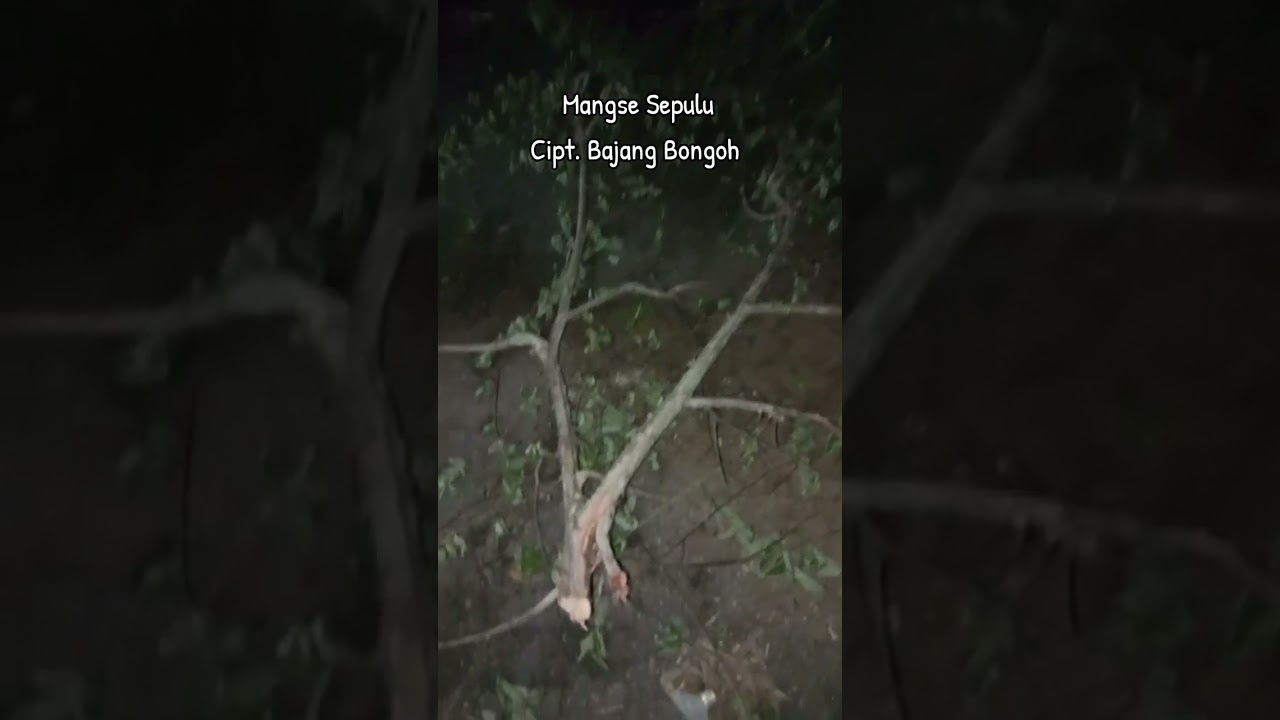 Keras angin nikn