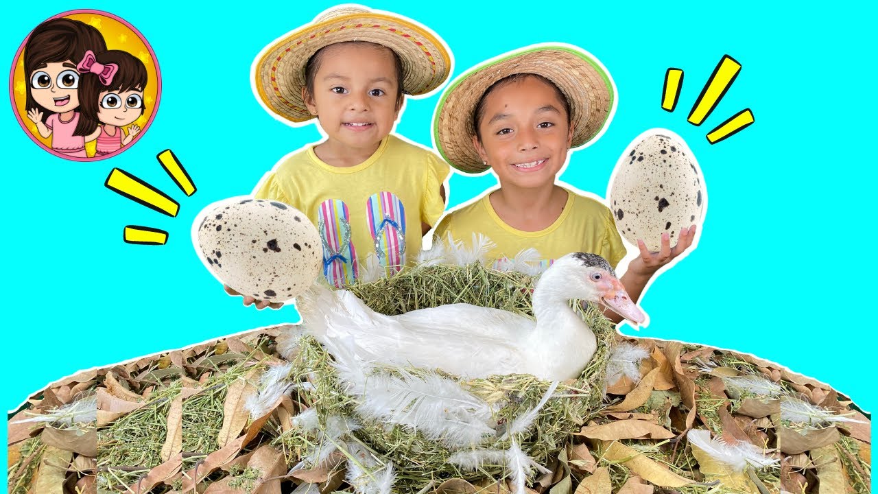 JUGANDO CON NUESTRO PATITO | Las Leoncitas Kids