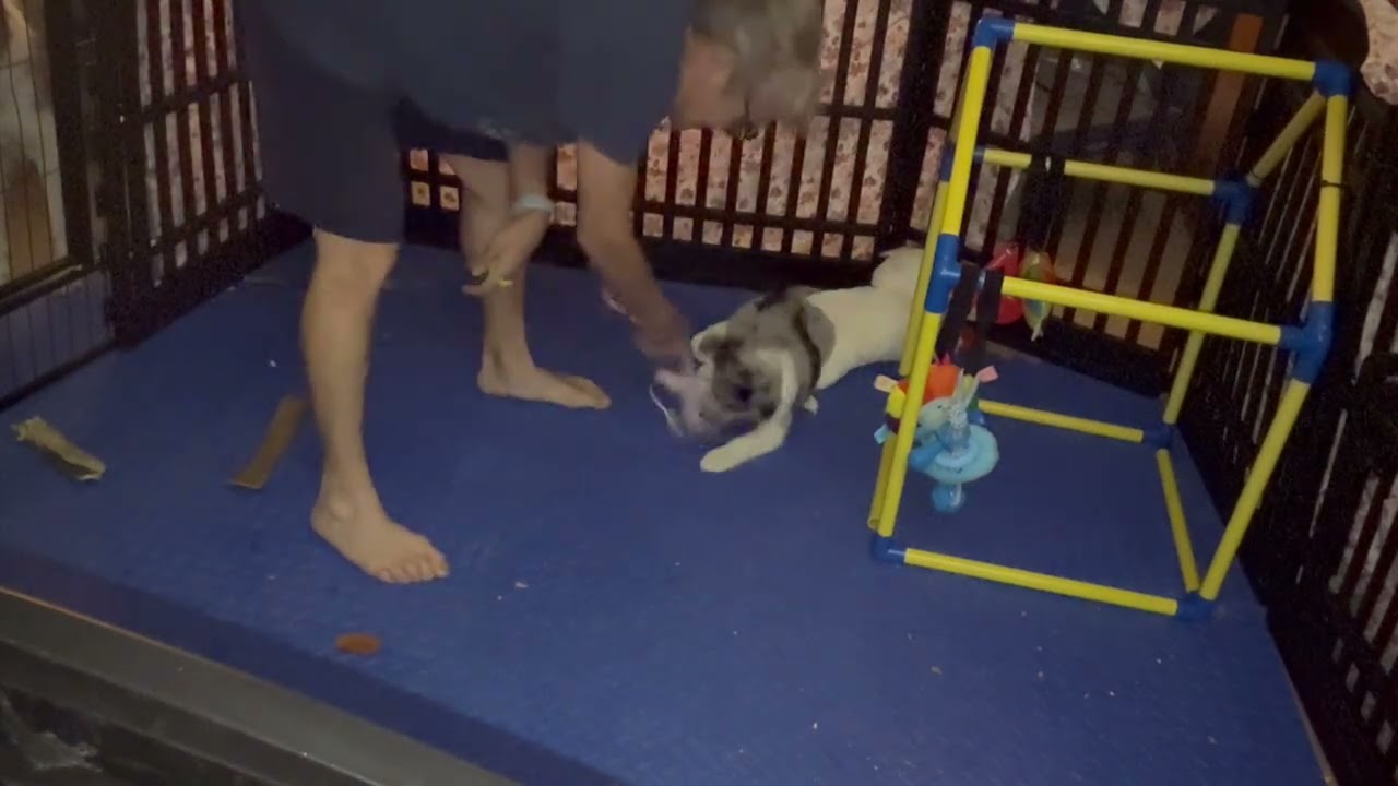 Sit for tug and drop