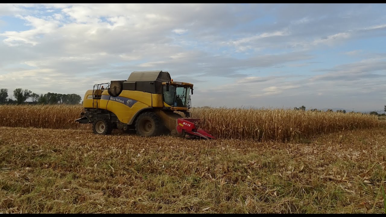 Cosecha Maiz 2015 // Harvest Maize [GoPro HD]