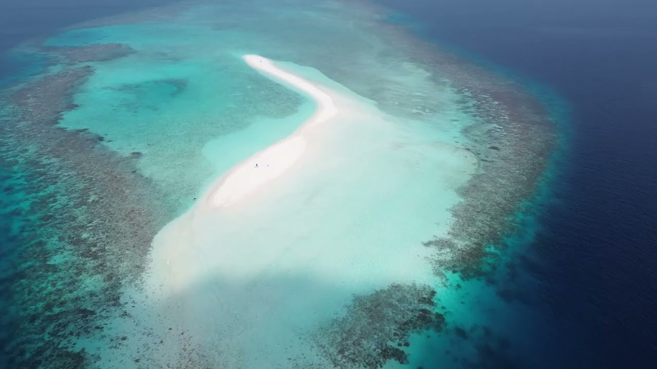 Maldives sandbank Makunudu Island feb  2026