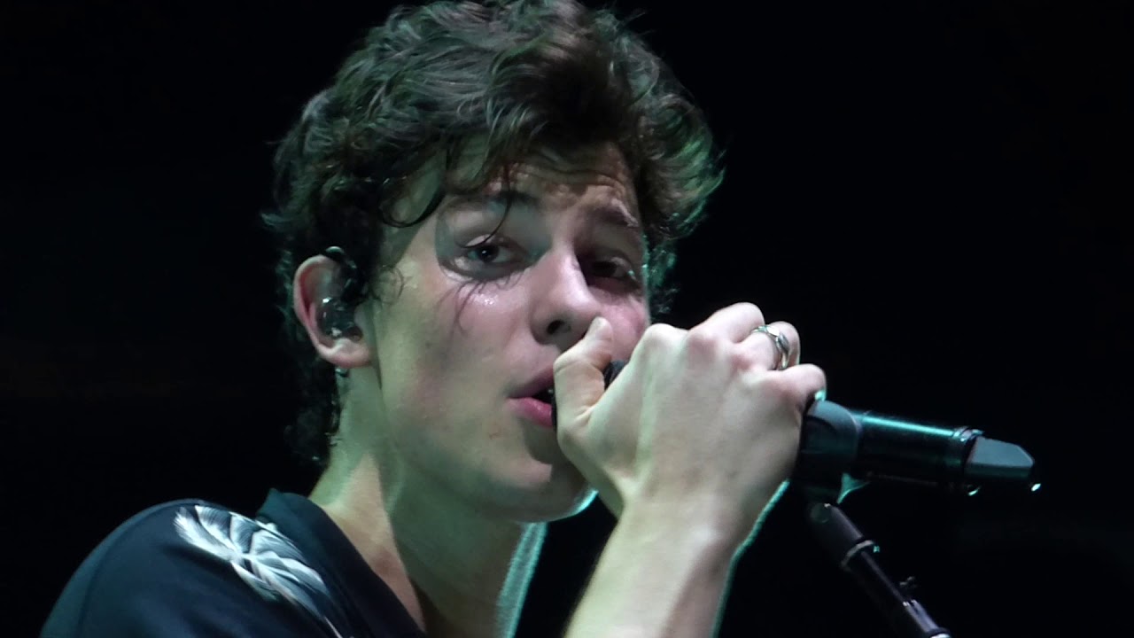 Shawn Mendes Aug 11 ACC Toronto   Treat You Better
