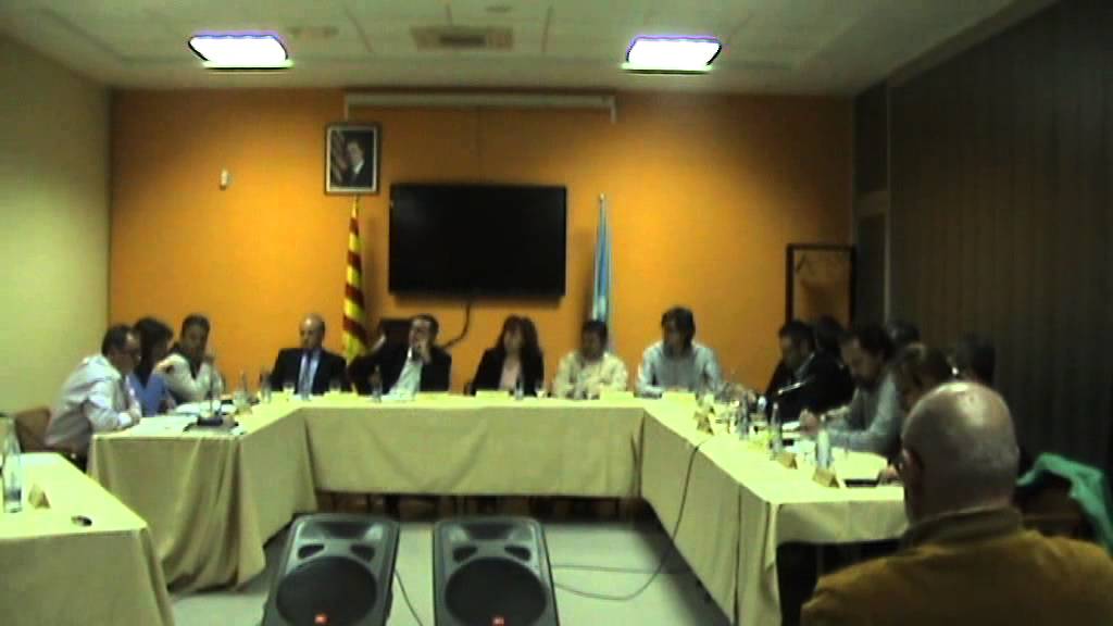Ple extraordinari de 31 d'octubre de 2013