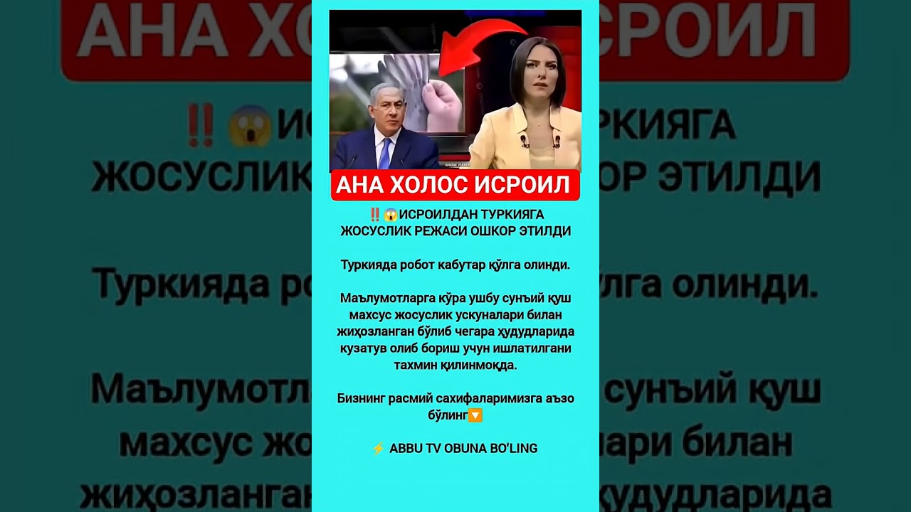 LAYK PODPISKA 