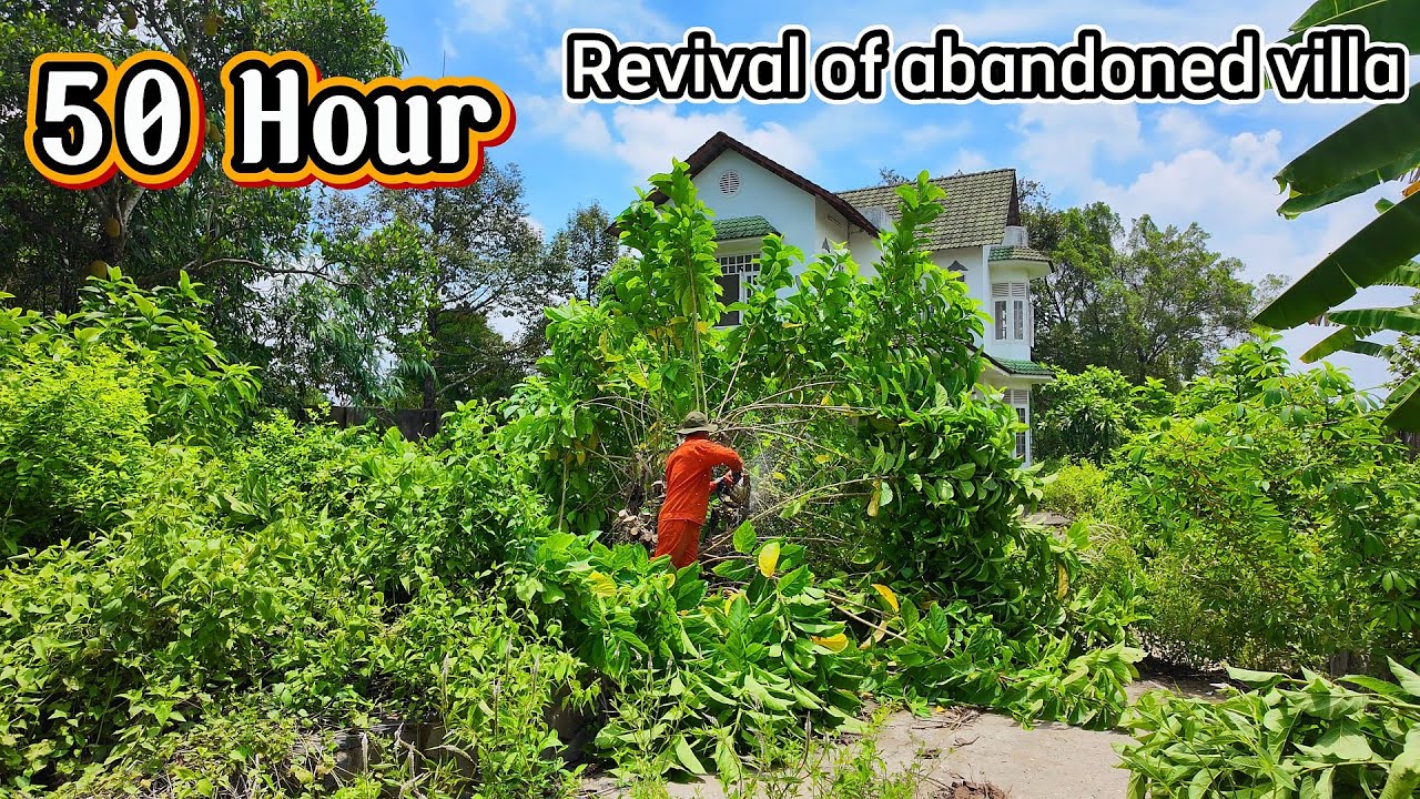 Full Video - 50 Hours of Satisfying Abandoned Mansion Revival in 40 Minutes