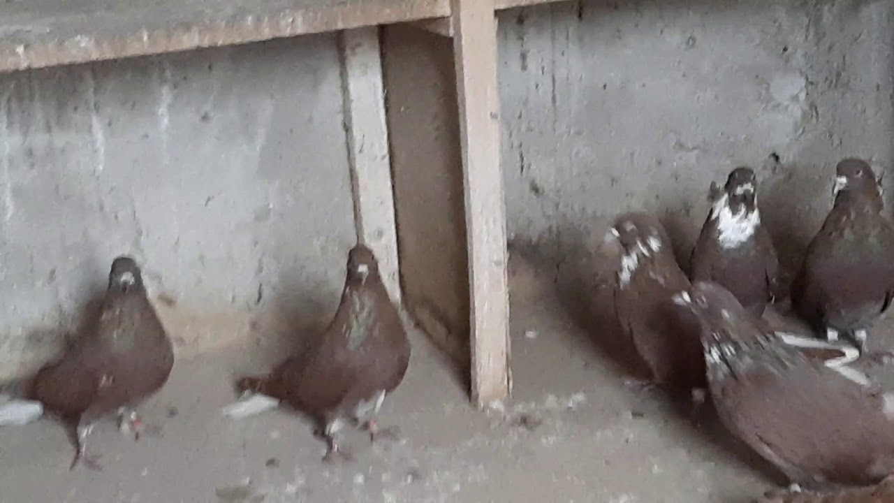 12 декабря 2019 г.