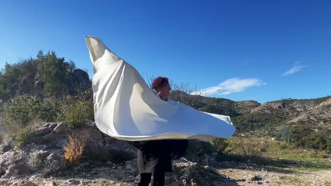 Whirling in situ 1