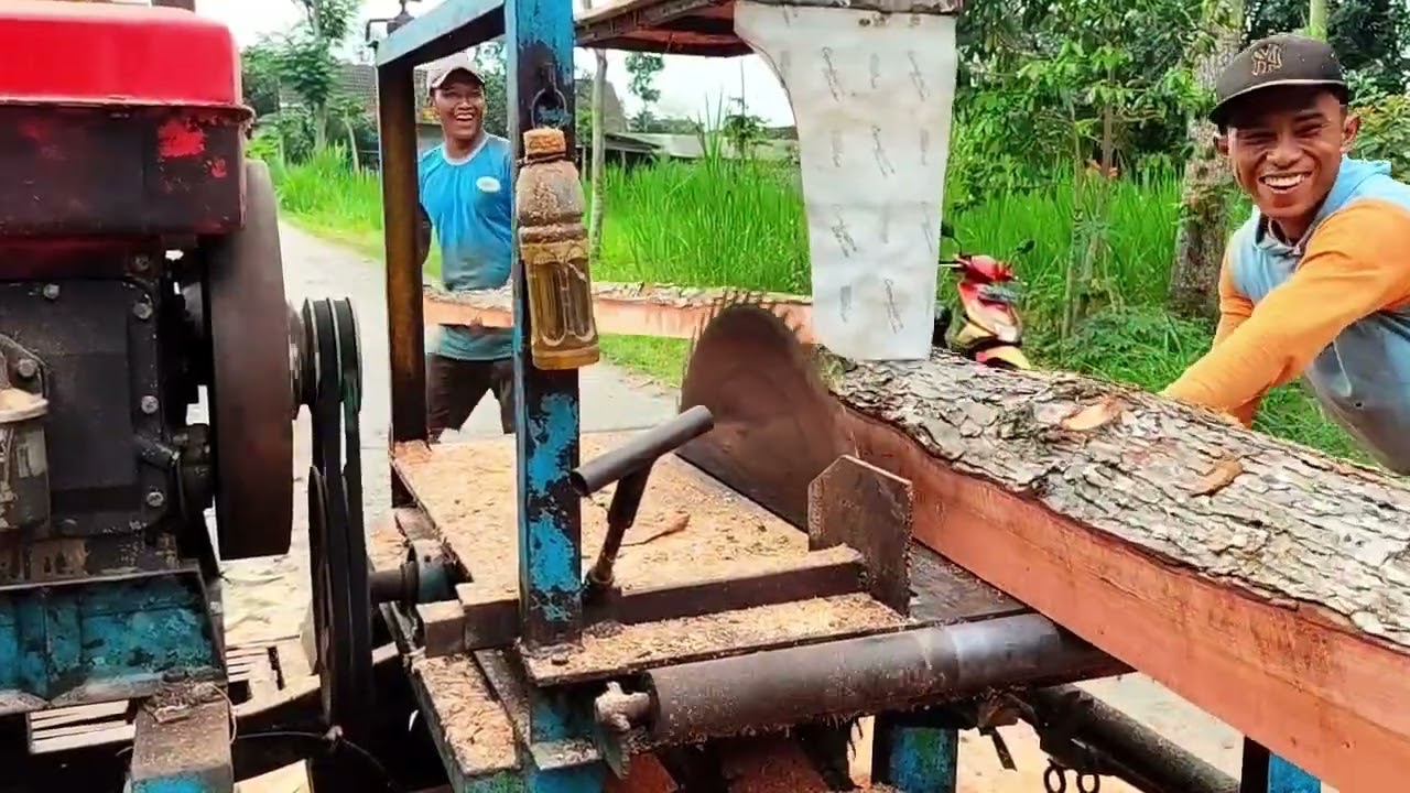 Padat tapi renyah, penggergajian kayu mahoni dengan mesin serkel rakitan