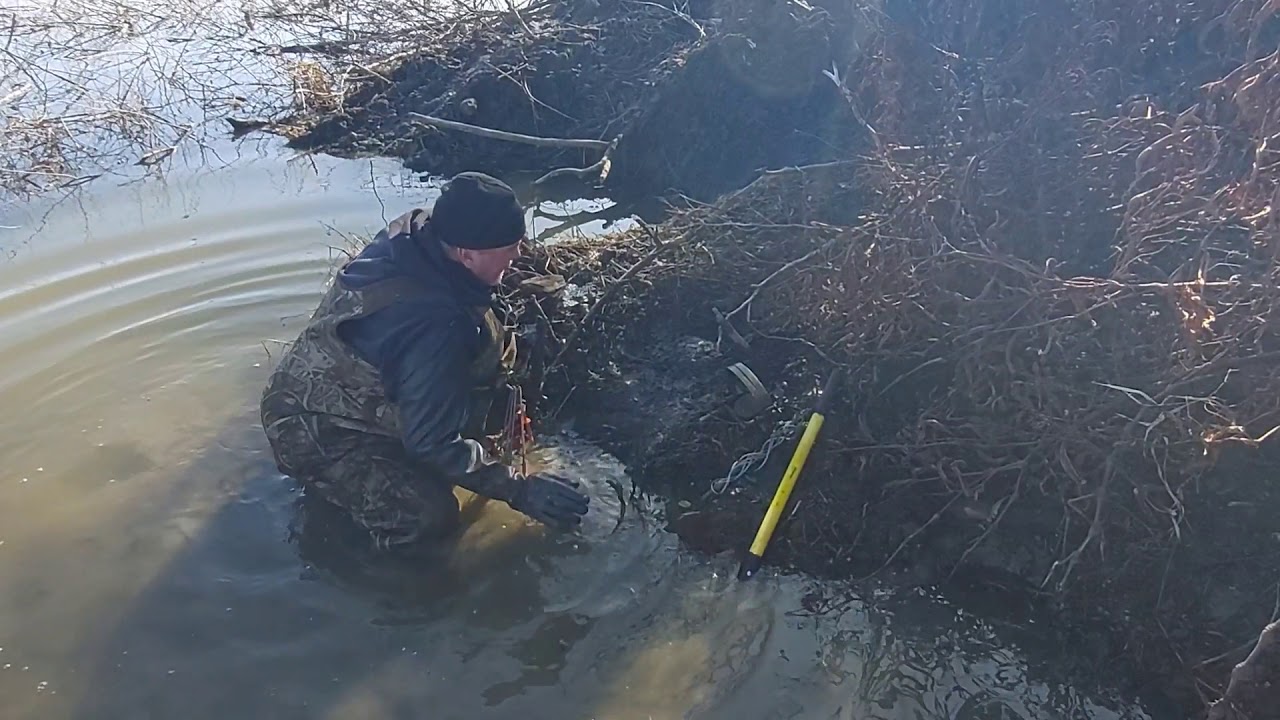 Beaver Trapping 101-The Basic sets Part 1