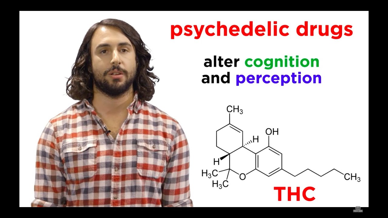 Illicit Drugs: How Do They Work?