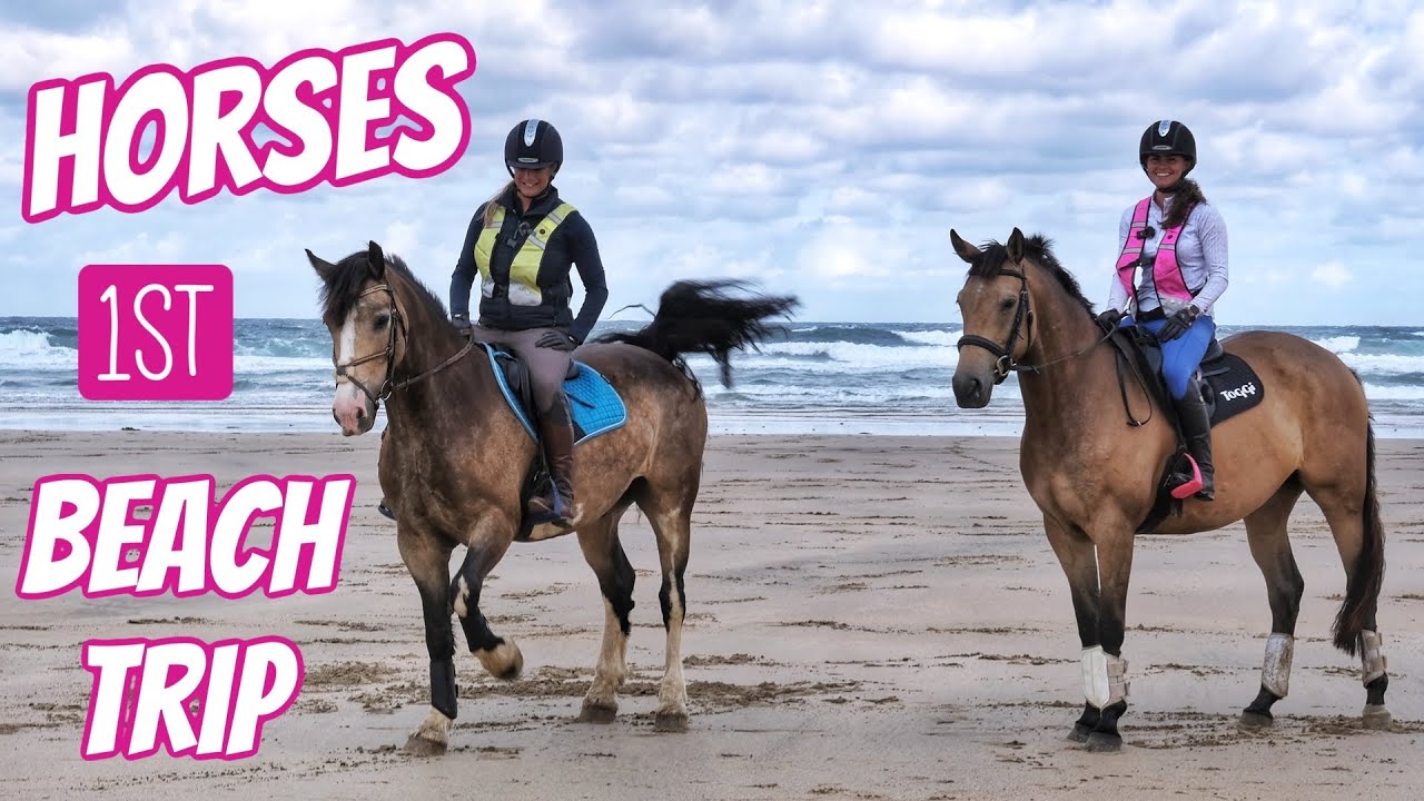 HORSES FIRST BEACH TRIP | Rideathon 2023