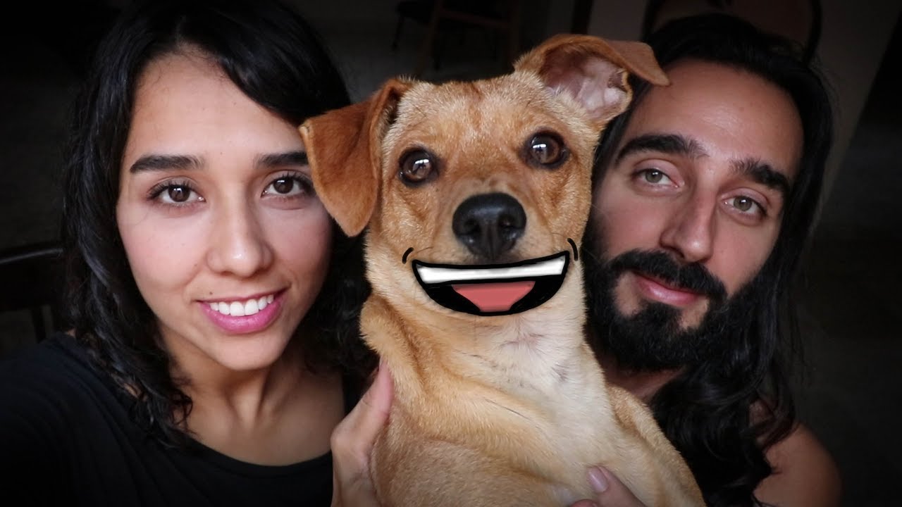 un Perro sin Papeles
