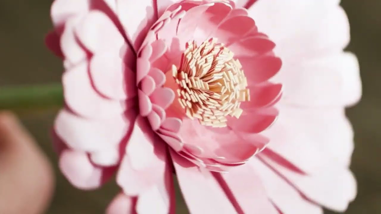 Bloemen in een boek - Gerbera tutorial