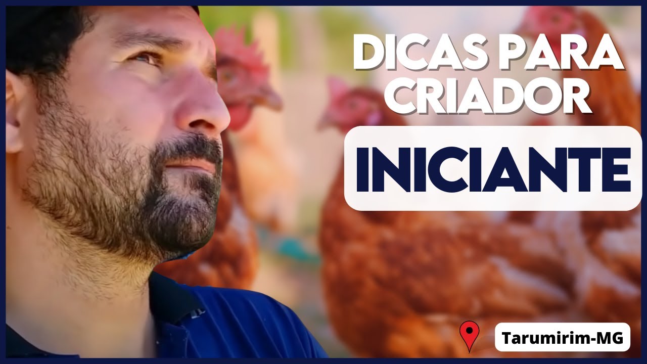 🙏 Quer saber TUDO para iniciar SUA GRANJA CAIPIRA? Aprenda como iniciar uma granja do ZERO.