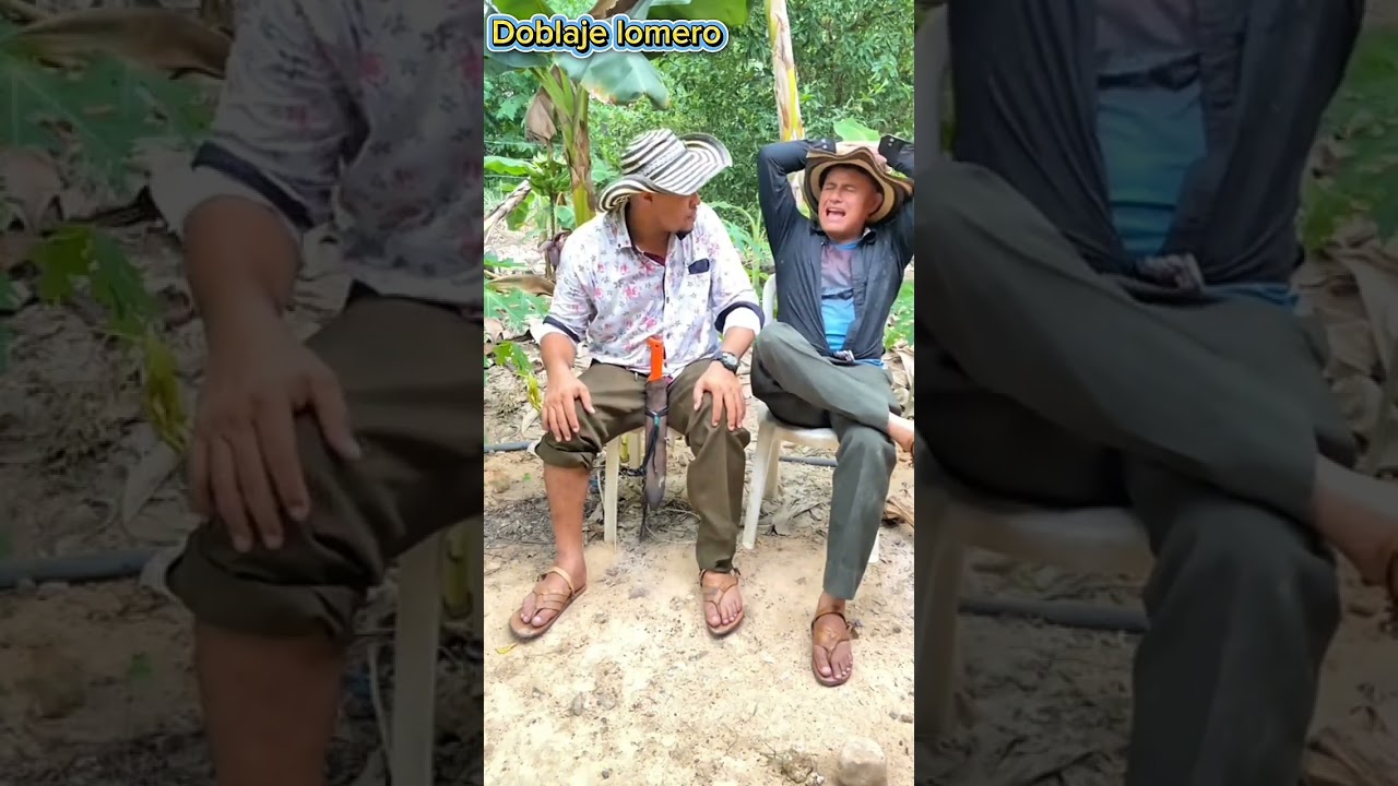 Simplicio arranco un palo e caracoli con la abadca y el pello se consigue una bocachica gallo 🤣🐓🤣🐓