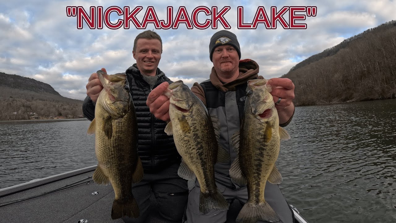 Nickajack lake Bass Fishing 2/1/2025