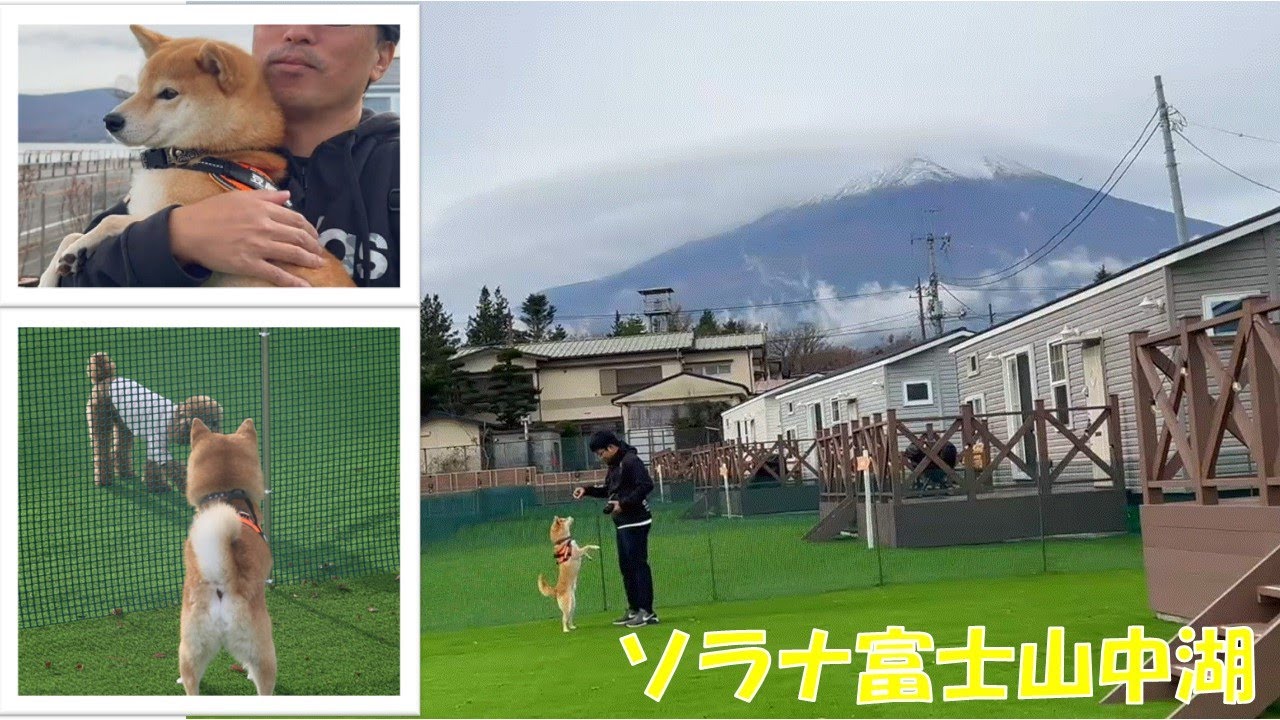 柴犬とお泊り 翌日はなんとか富士山が拝めました【ソラナ富士山中湖】