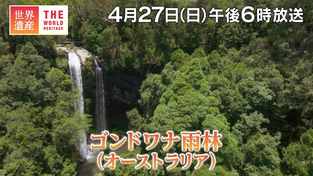 【TBS世界遺産】１億8千万年前！恐竜時代の森～ゴンドワナ雨林（オーストラリア）【4月27日午後6時放送】