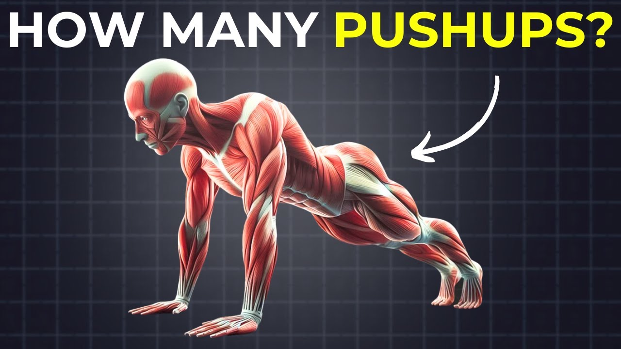 How Many Pushups Should You Do A Day To Build Muscle (New Methods)