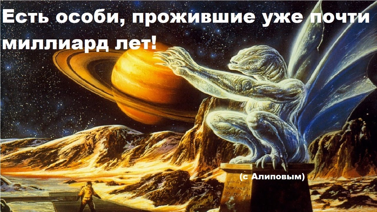 Есть особи, прожившие уже почти миллиард лет! (с Алиповым)