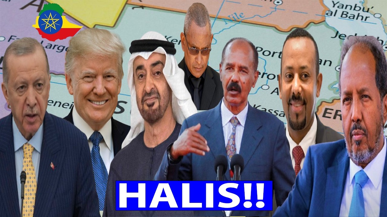 HALIS:- Turkiga oo Awoodisa ku Fidinaya Gobolka, Taageeradiisa Ethiopia iyo.