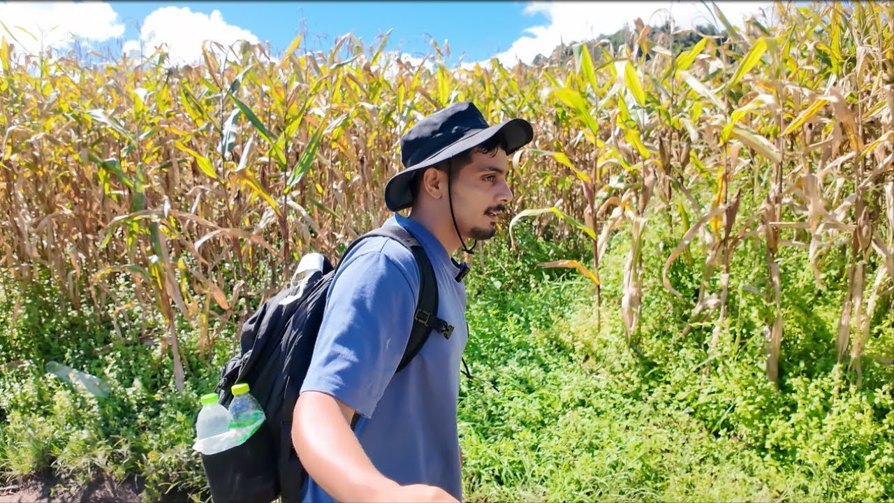 قضيت يومين فالغابة 🌲