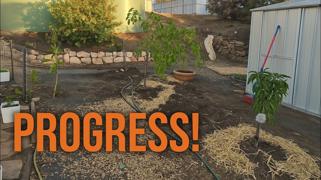 Micro Swales, Apple trees & a compost rebuild 