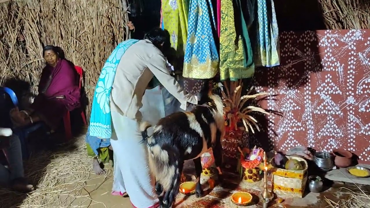 |కోరాడ భూషయ్య గొల్ల చదువు|భగీరథ పురం కాలనీ |బోట వెంకట్ |గావ్ సంబరం|09/02/2026|9381605240