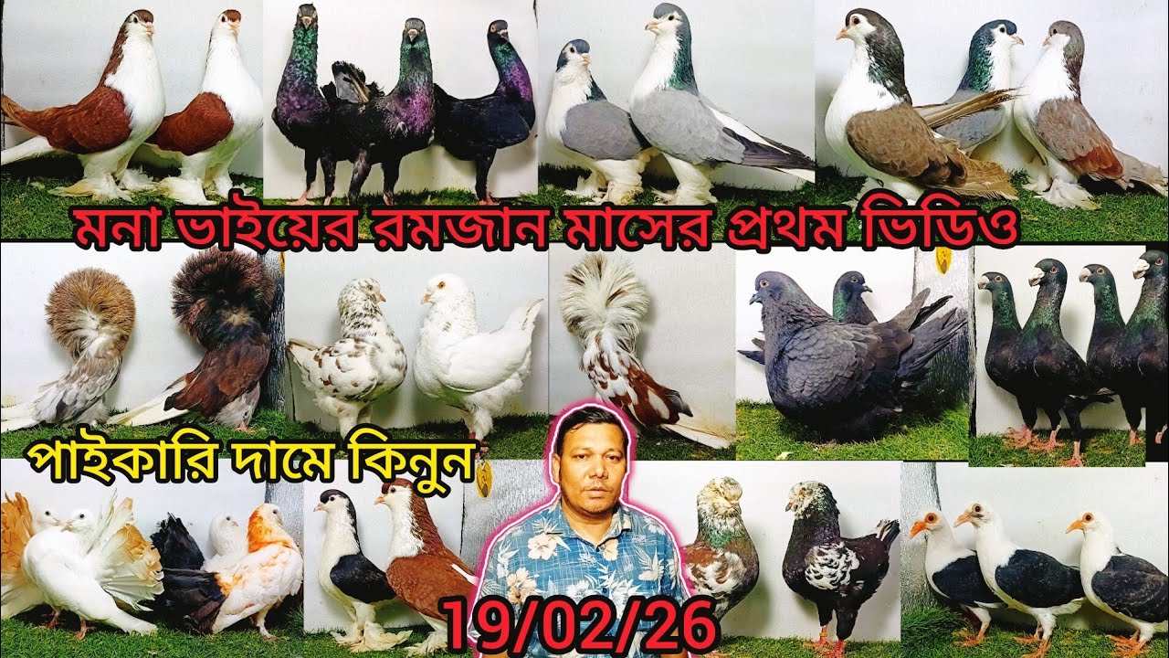 মনা ভাইয়ের পবিত্র মাহে রমজান প্রথম ভিডিও টপ কোয়ালিটি কবুতর। 