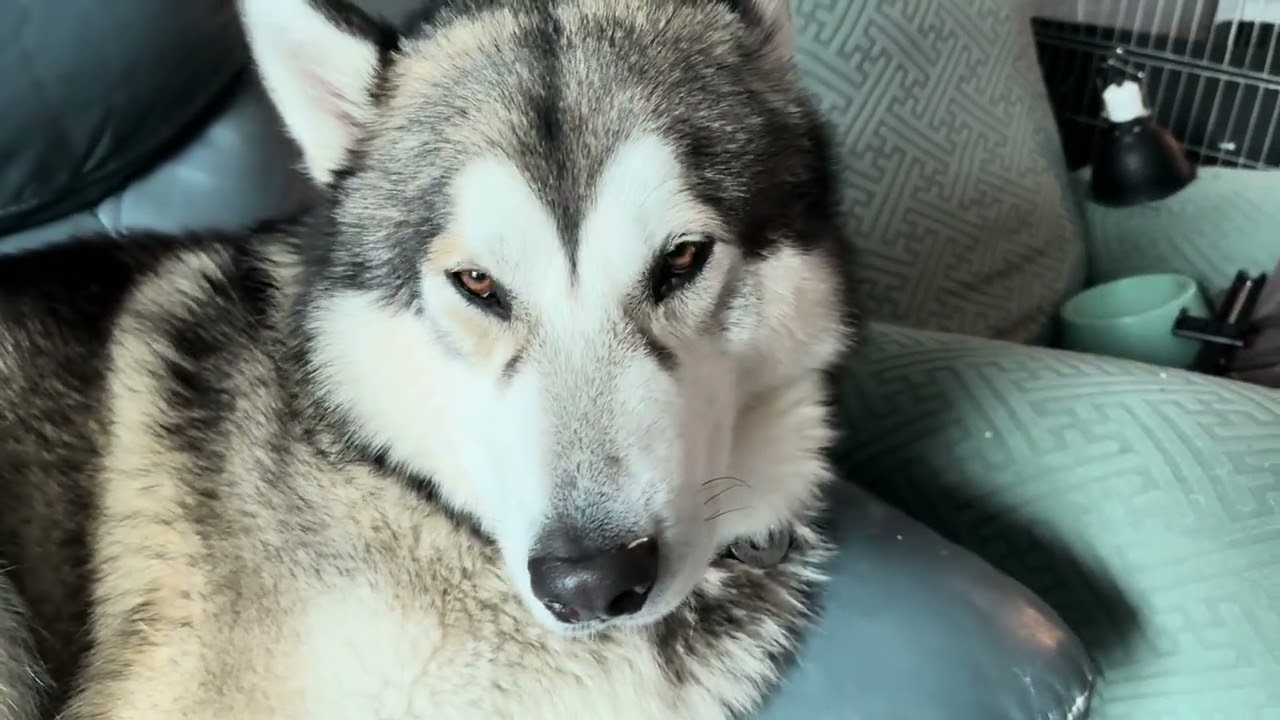 Дружня родина ❤️