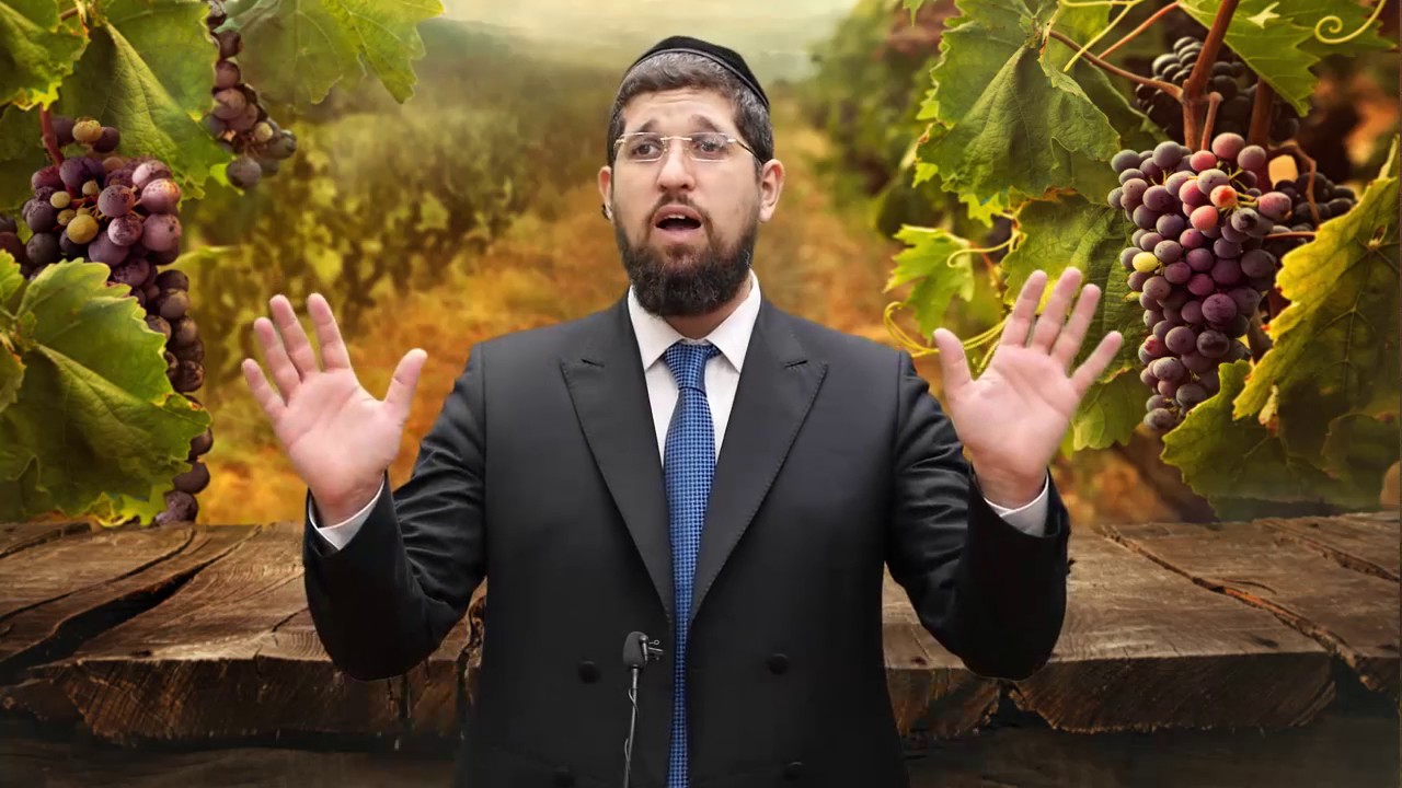 דבר תורה וסגולה מיוחדת לפרשת פנחס מספר זרע שמשון HD