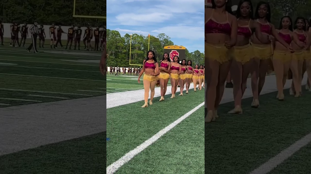 Bethune-Cookman 14-Karat gold dancers 🐯