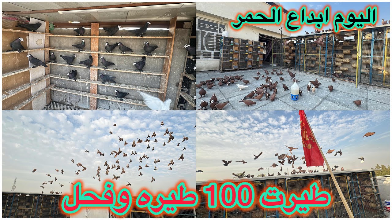 كشيت طواير وفحل100 واكثر😍😍😍