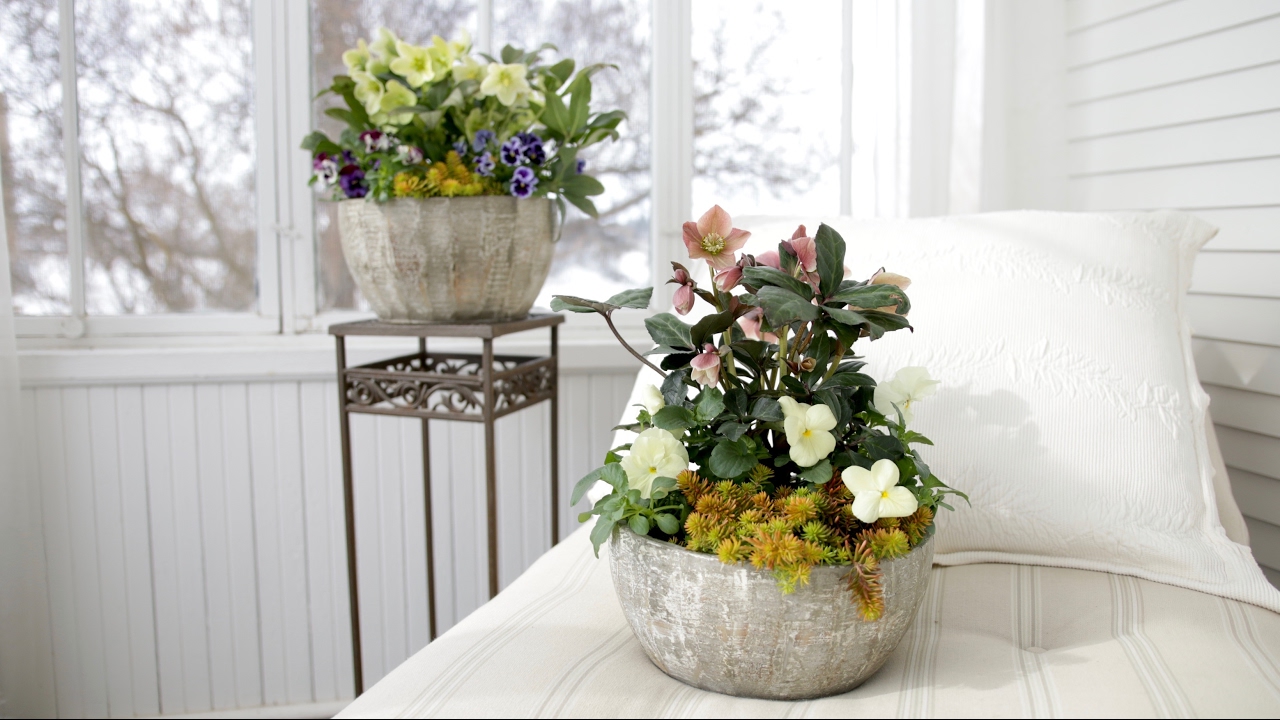 Spring Container Inspiration (Full Version)  // Garden Answer
