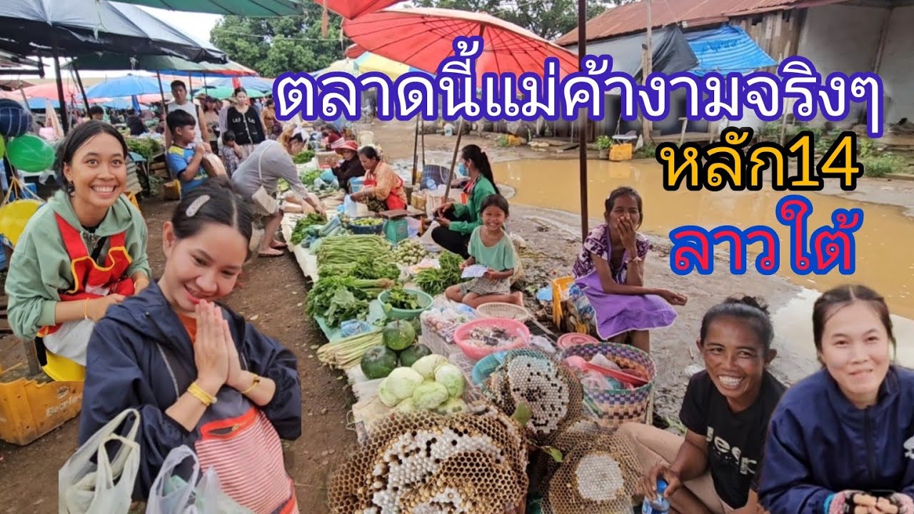 #เที่ยวลาวใต้ ตลาดหลัก14 #อาหารพื้นบ้าน ตามฤดูกาล แม่ค้า #สาวลาว งามๆ#เที่ยวลาว #สปปลาว #แขวงจำปาสัก