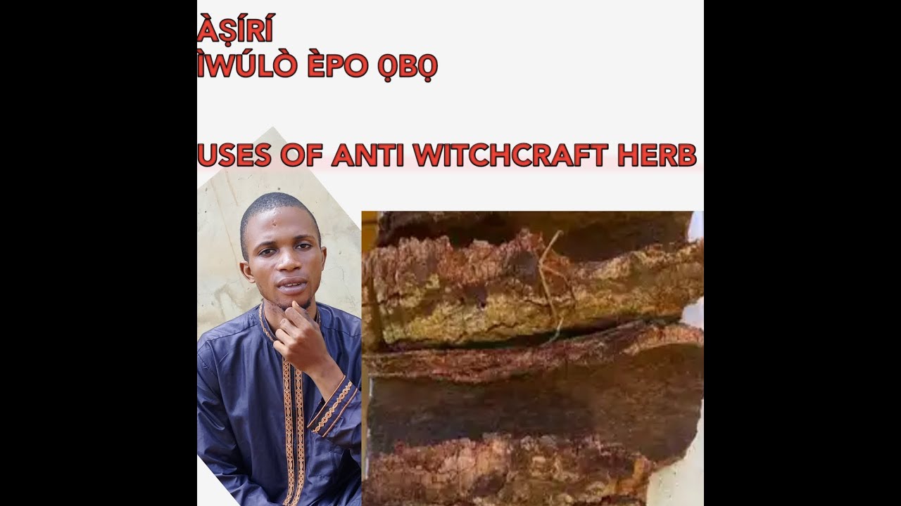 LILO EPO ỌBỌ ( Anti witchcraft Herb)  @Dromoodoagbatv#tips #subscribe #viral