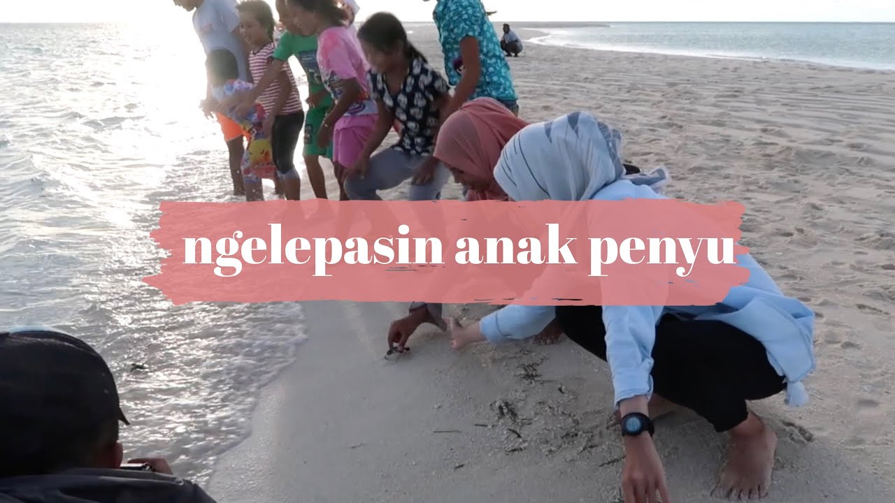 Ngelepasin anak penyu | Videonya Gita eps. 113