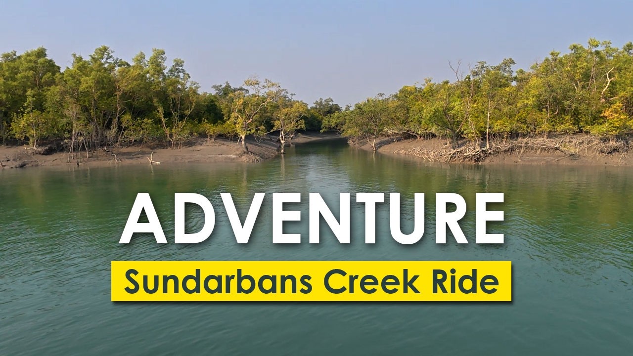 Morning Adventure in Sundarban | Sundarbans Creek Ride
