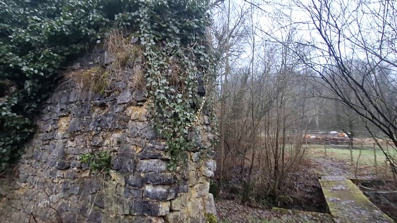 Burgruine (Burgstall)  Schmalenstein in Weingarten (Baden)