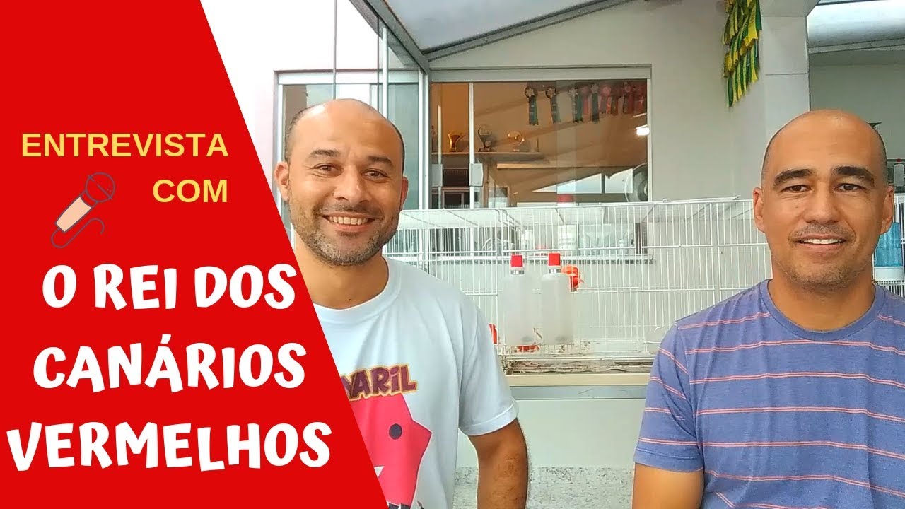 O MAIOR CRIADOR DE CANÁRIOS VERMELHOS DO BRASIL
