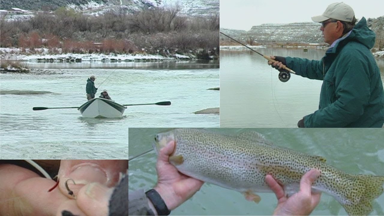 San Juan River fly fishing tiny Midges for Big Results on a snowy day.