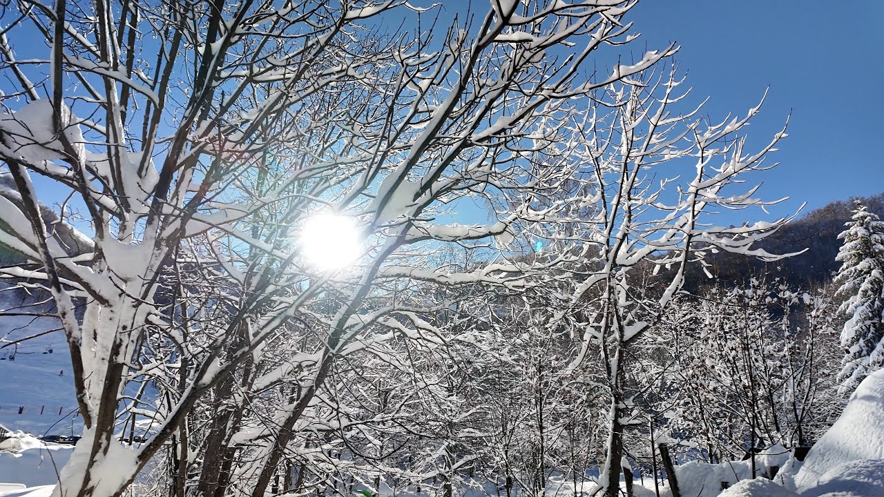 La magia della neve